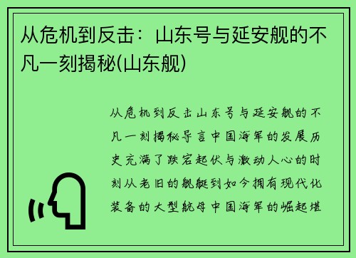 从危机到反击：山东号与延安舰的不凡一刻揭秘(山东舰)
