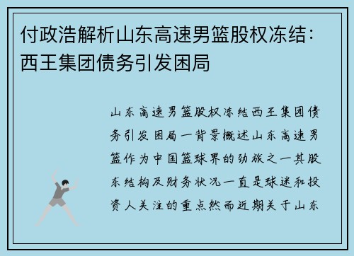 付政浩解析山东高速男篮股权冻结：西王集团债务引发困局